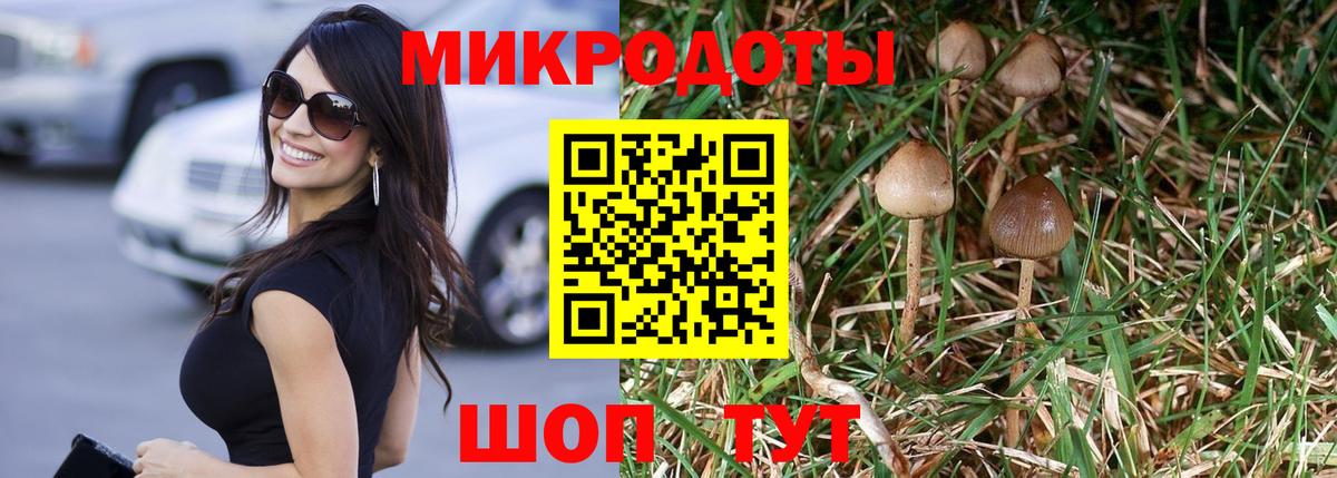 Псилоцибиновые грибы ЛСД Топки