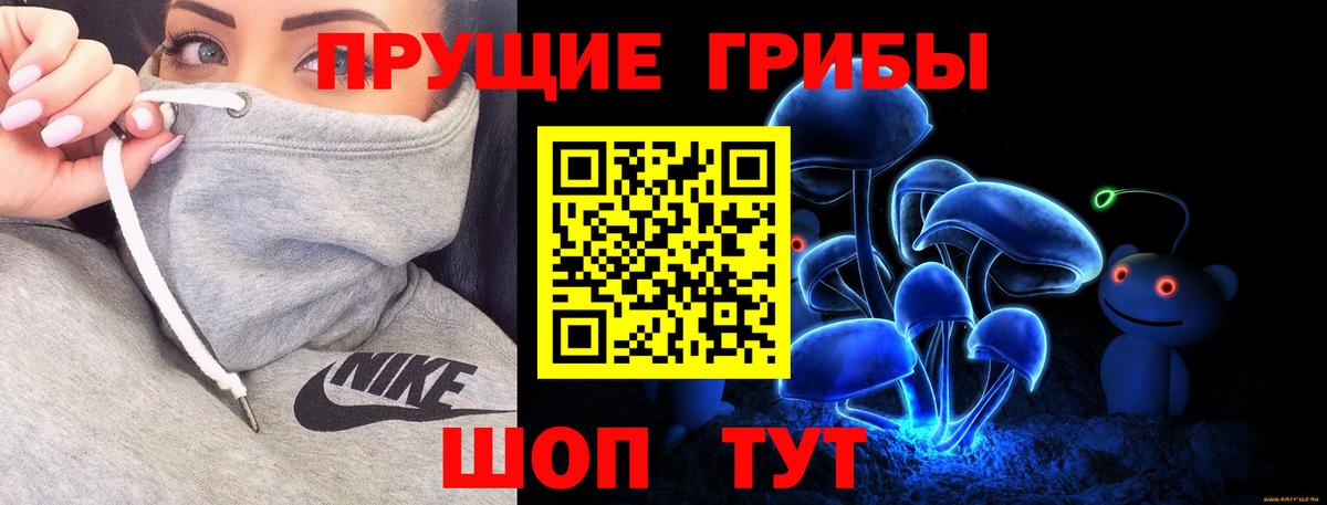 как найти закладки  Вход с VPN  Галлюциногенные грибы GOLDEN TEACHER  Топки  Галлюциногенные грибы прущие грибы 